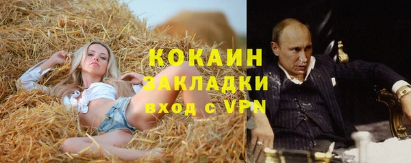 дмт Абаза